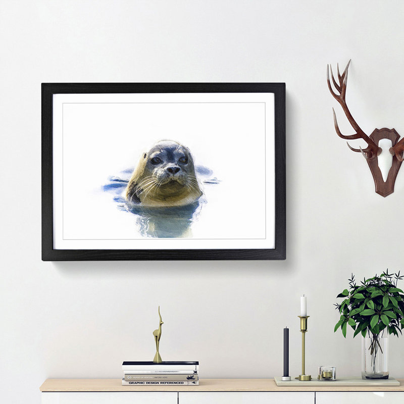 Grey Seal - Framed Print, 48cm H x 65cm W x 2cm D, Black Framed