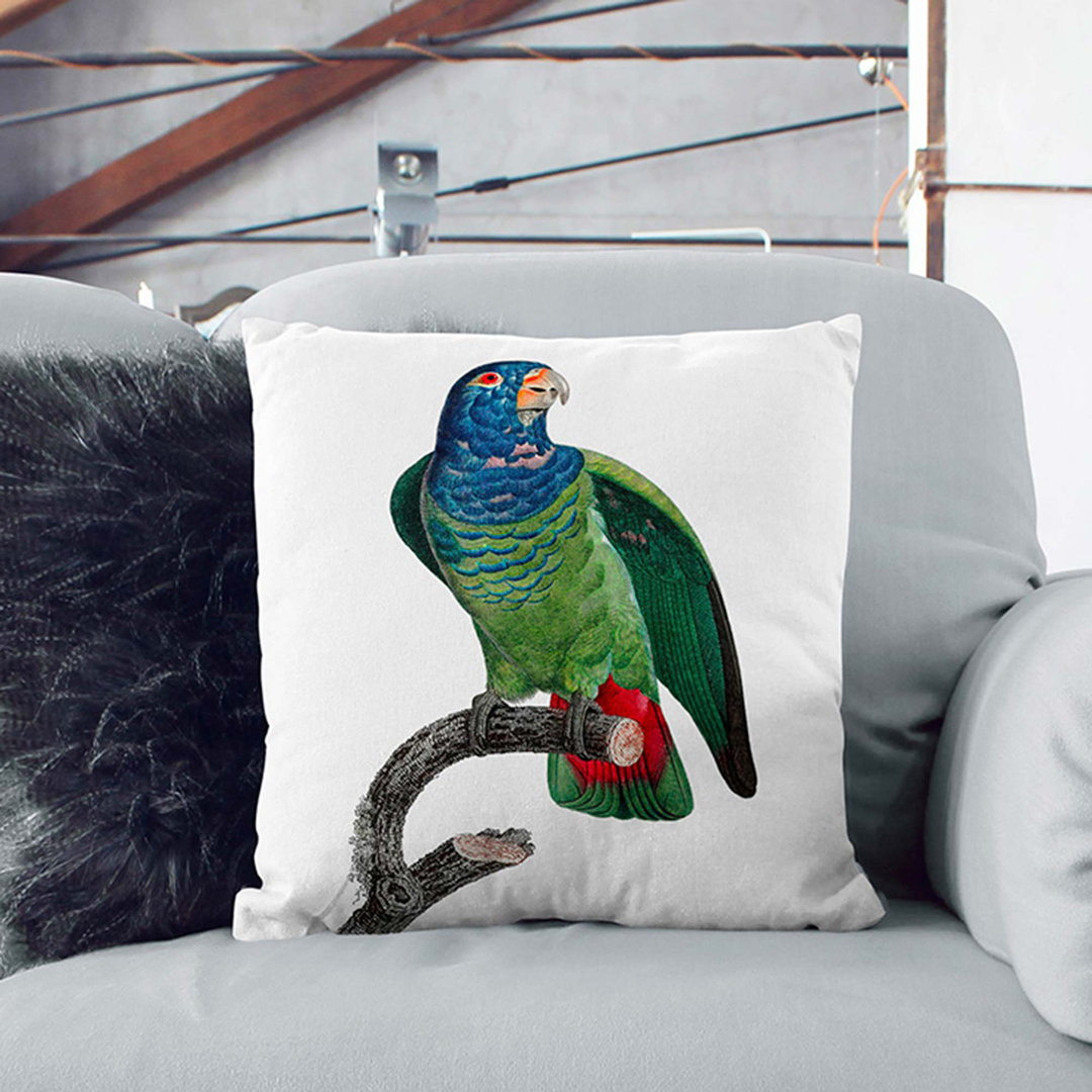 Blue-Headed Parrot by F. Levaillant Cushion with Filling