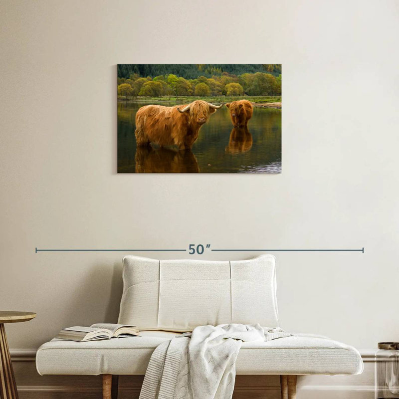 Brampt Bathing Highland Cow, H 20 po x l 30 po