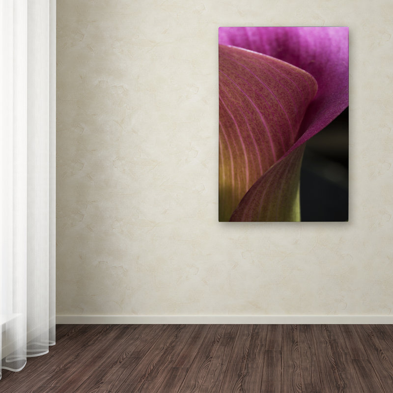 Fait partie d’un calla lily, reproduction de photo sur toile tendue, H 19 po x l 12 po x P 2 po