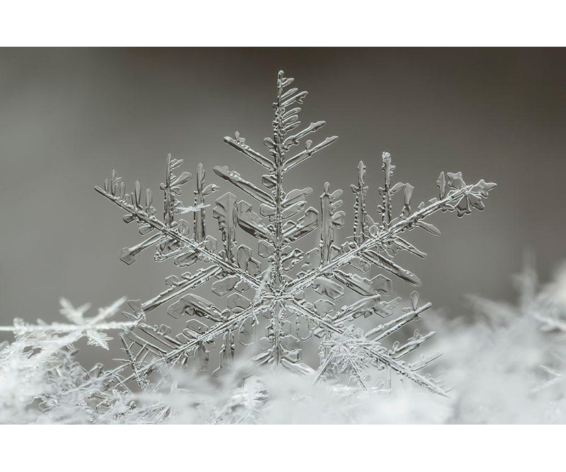 «Lark Manor ™ Naidandorj, art sur toile tendue avec la galerie Tsolmon: flocon de neige, H 33 po x l 48 po