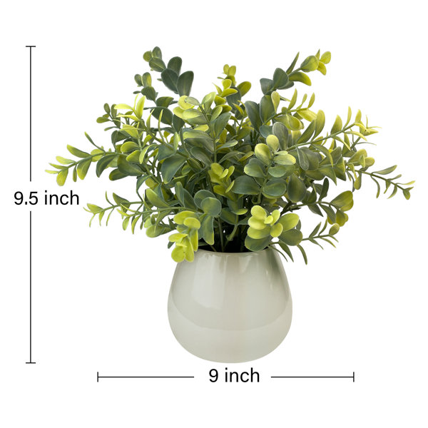 Primrue Faux Plants 8.9'' Faux Eucalyptus Plant in Ceramic Pot & Reviews