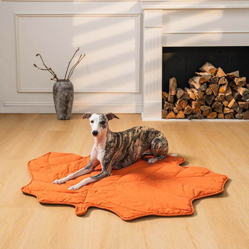  Leaf Shape Pet Blanket, Maple Red