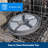 Petsafe 5 Meal Pet Feeder