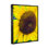 Gros plan, tournesol jaune, nature botanique, par Heidi Bannon - photographie sur toile flottante