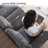 Luelle 82.7" W Rolled Arm Sofa -1374324726