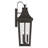 Cleary 30" 3-Light Outdoor Wall Light with Clear Glass in Olde Bronze-126690918-126690916