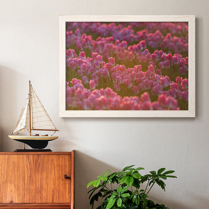Field of Tulips I, reproduction d'art sur toile, Blanc, H 22 po x l 32 po x P 1,5 po
