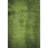 Premium Machine Washable Cerrito AMF554 Green Rug-104020465