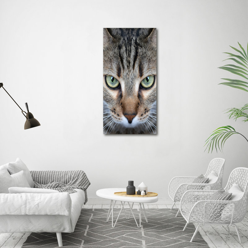 Cat's Eyes - Wrapped Canvas Print, 120cm H x 60cm W