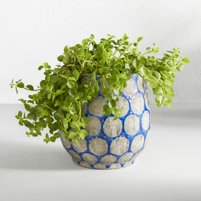 pot & urn planters