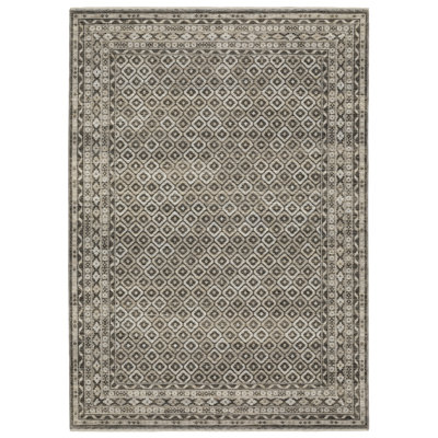 Emerence Oriental Indoor Rug