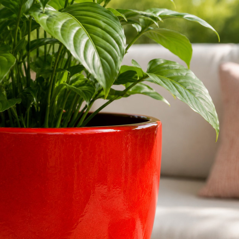 Pot Eloy de 48 cm (19 po) - Rouge atomique, 16" H x 19" W x 19" D, Red