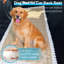 Housse de protection pour siège de chien, tapis de protection de banc antidérapant compatible avec les rallonges de siège arrière pour voitures, camions et VUS-873948283