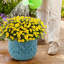 Ensemble de 3 pots à fleurs d'intérieur / extérieur en céramique avec trou de drainage