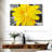 Harnek Bright Yellow Daisy-109395821