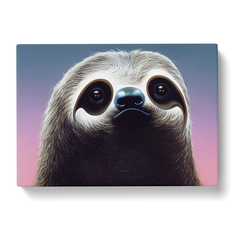 An Adorable Sloth - Wrapped Canvas, 35cm H x 50cm W x 3cm D