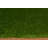 Krick Indoor Rug-26824729