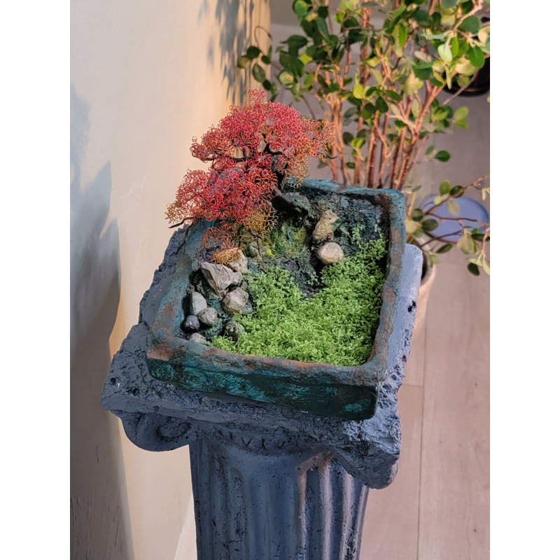 Aureate Bonsai