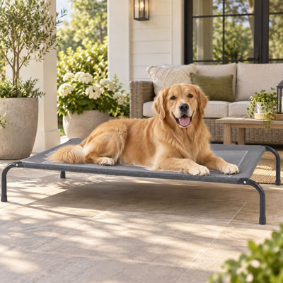 Lit surélevé rafraîchissant de 124 cm (49 po) pour grands chiens, avec filet en Teslin.