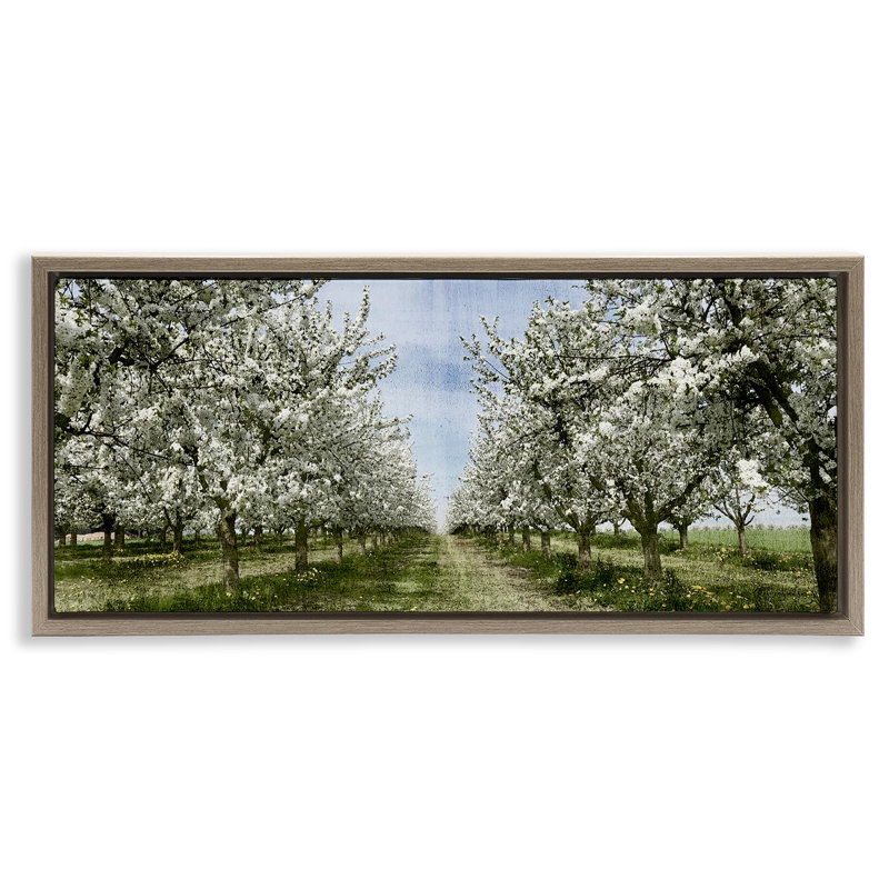 Arbre blanc en fleurs, Cadre flottant orme Montalcino, H 14 po x l 31 po