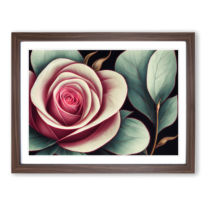 Splendid Rose Flower - Framed Print, 34cm H x 46cm W x 2cm D, Walnut