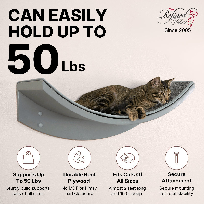 Lotus Leaf Cat Perch, Mahogany