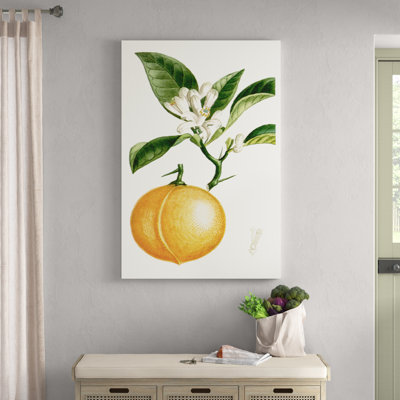 Turpin Fruit IV by Turpin - Painting Print