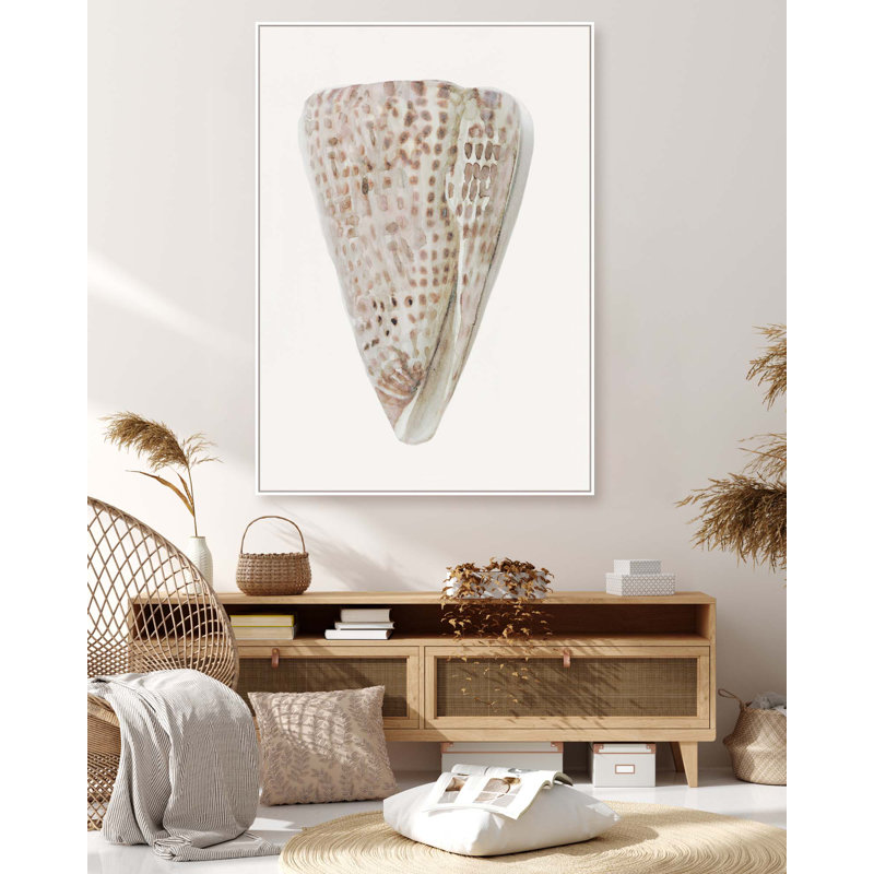 Sea Shell 10 Print, White Floater Framed, 41" H x 29" W