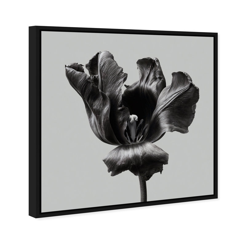 Tidal Wilt II Print by Oliver Gal, 13"H x 13"W, Black Floater Frame