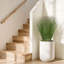 68.6cm Faux Onion Grass Grass