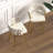Bar Stool-1247028959-1247028957-1247028931