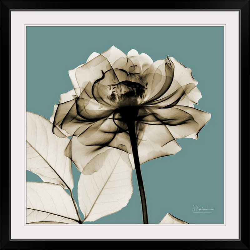 «Manigault» sépia rose X-Ray par Kiranjit, reproduction de photo, H 28 x l 28 po x P 1 po, Cadre noir