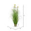 Herbe verte et marguerites artificielles en pot.-2003244727