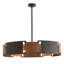 Ivan 5 - Light Chandelier