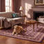 Tapis Norwood traditionnel à motif floral intégral or rose gris ivoire, lavable en machine, antidérapant, à poils courts, pour intérieur et extérieur, adapté aux animaux domestiques, idéal pour le salon, la chambre, la salle à manger, l'entrée, le corridor ou le bureau.-1924674860