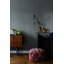 10.05m x 53cm Textured Matt Wallpaper Roll