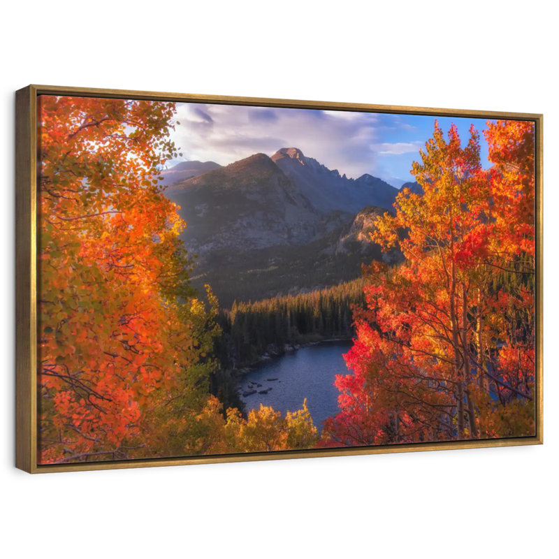 Rocky Mountain Autumn, Cadre flottant doré, 13 po x 9 po