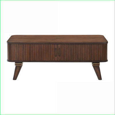 Table basse de salon en noyer avec 2 portes tambour et amp; 2 tablettes, rangement élégant