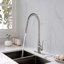 Robinet de cuisine avec douchette extractible-121209998