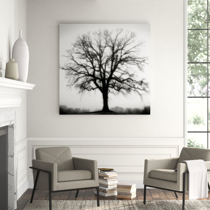 Fountain Oak Print by Cook Jamie, 54" H x 54" W, Matte