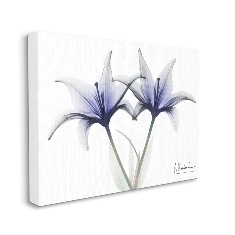 Photographie de fleurs de lis aux rayons X sur toile, H 16 po x l 20 po x P 1,5 po