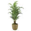 Faux Kentia Palm Plant in Planter