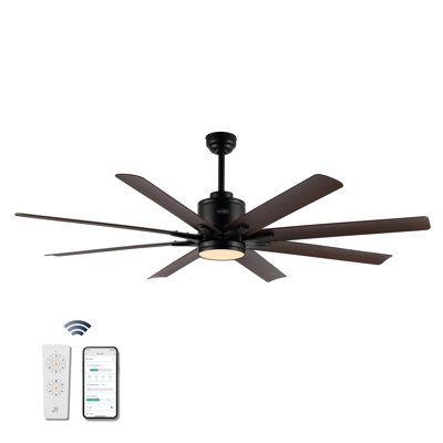 66'' Ceiling Fan with LED Lights