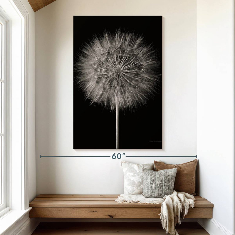 Dandelion Fluff On Black