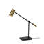 Allesandro Adjustable Metal USB Desk Lamp-1841817646