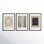 Caos E Ordine 2