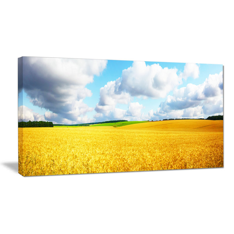 « magnifique field panorama », reproduction de photo sur toile tendue, H 16 po x l 32 po x P 1 po
