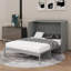 Queen Size Murphy Bed With Drawers And USB-123076681