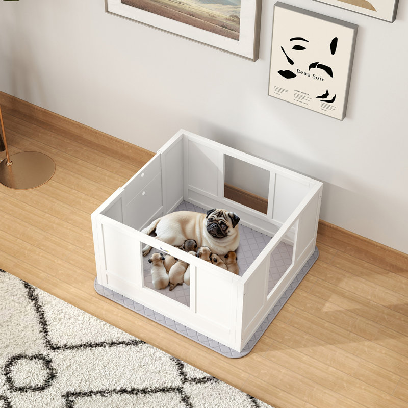 Boîte de mise bas pour chien avec coussin de mise bas imperméable